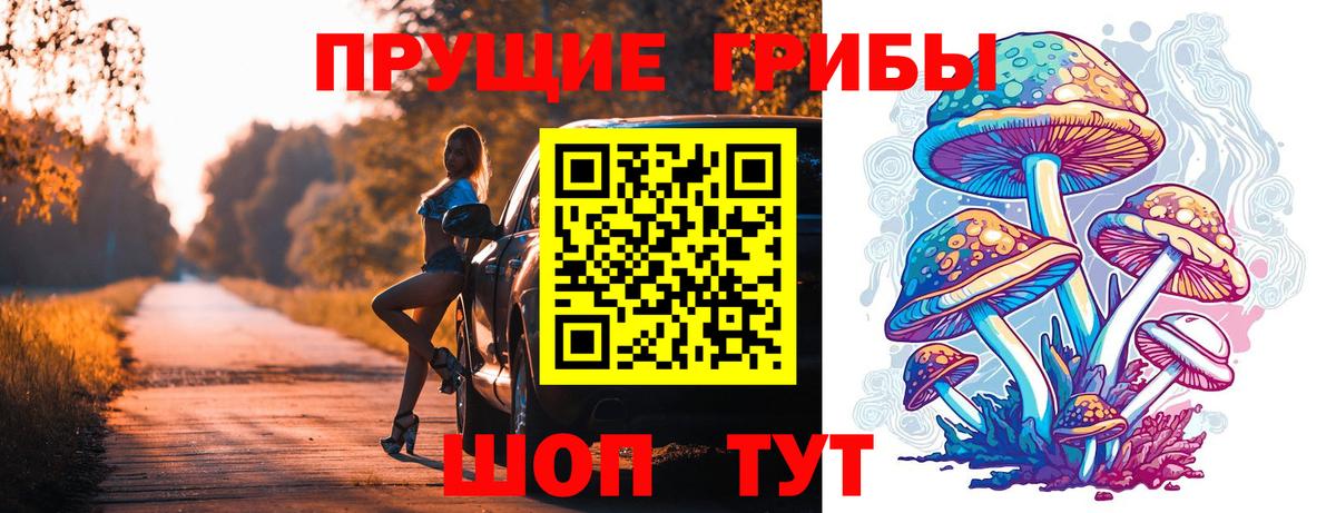 Псилоцибиновые грибы Cubensis Новозыбков