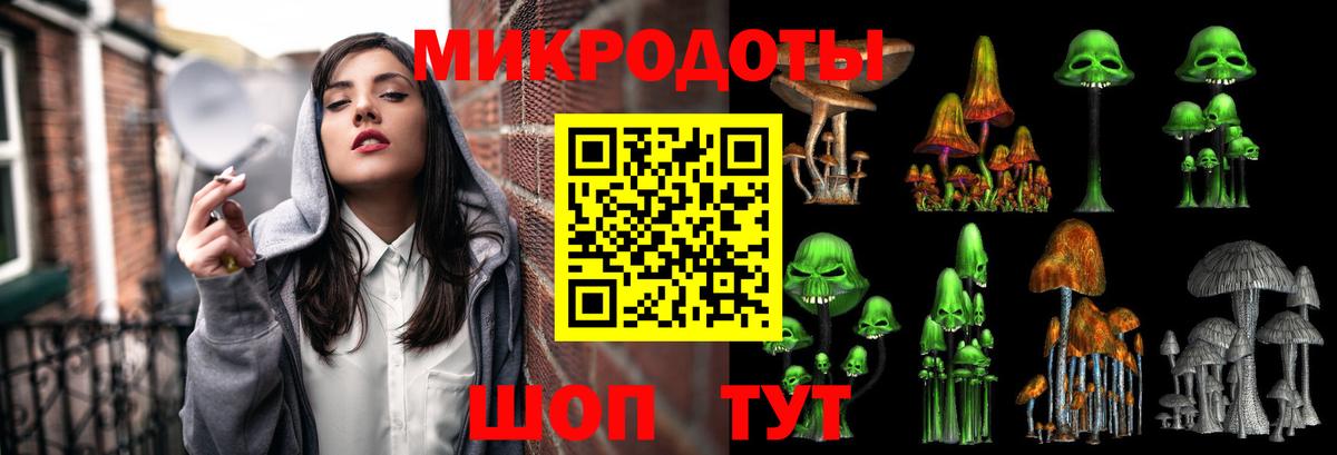 Псилоцибиновые грибы GOLDEN TEACHER  Галлюциногенные грибы Magic Shrooms  Вход с VPN  Новозыбков 