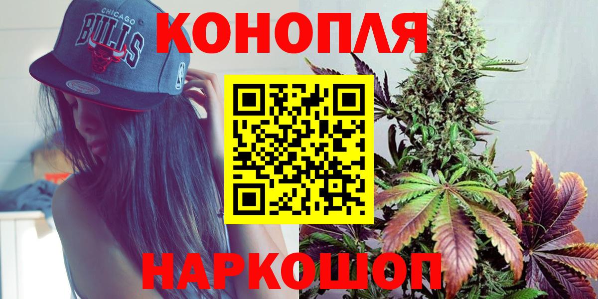  COCAIN Новозыбков